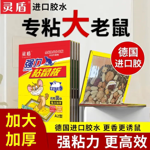 灵盾强力沾鼠板坚果图案奶香灭鼠捕鼠板进口胶水强粘力专粘大老鼠