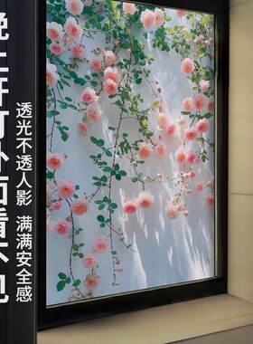 花朵磨砂玻璃贴膜卫生间厨房静电贴卧室镜子对床定制房间玻璃贴纸