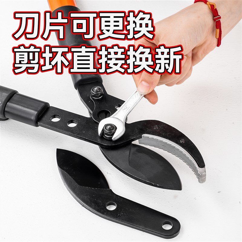 剪枝剪刀修枝果树专用园艺树枝剪修剪神器省力修大枝强力粗枝剪刀图片