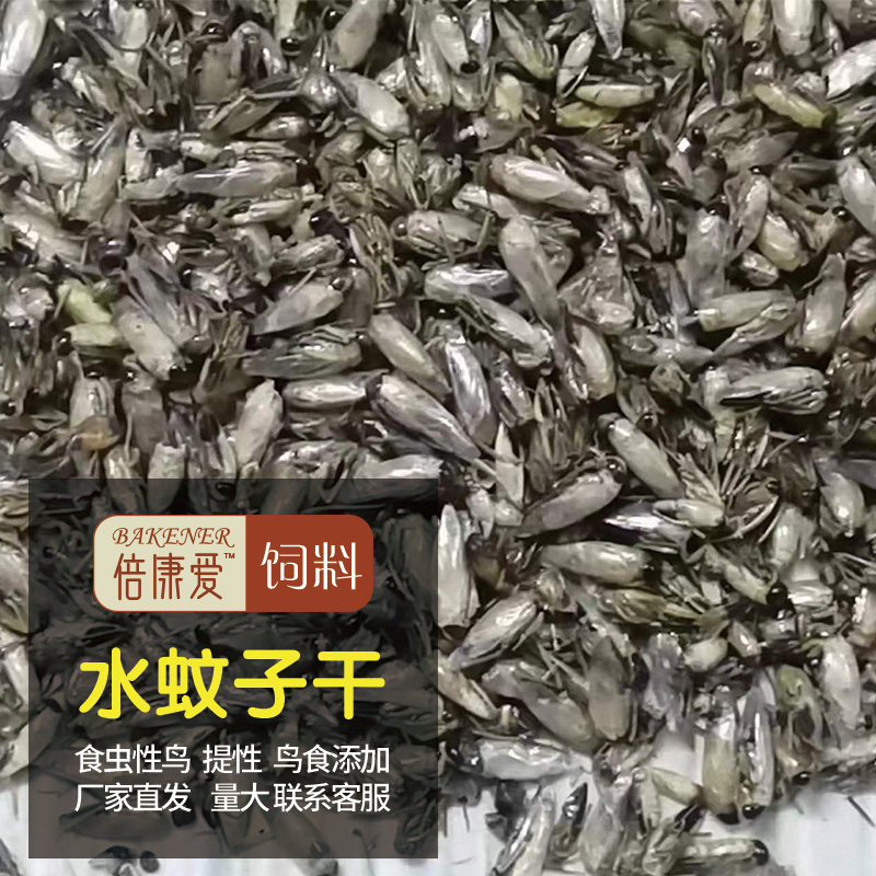水蚊子干虫干提性鸟饲料鸟食喂鱼养宠长膘高蛋白优质水蚊子干袋装