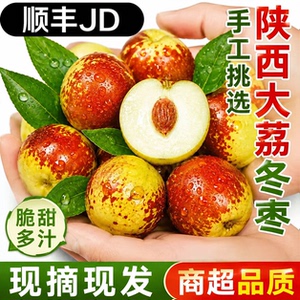 【顺丰/JD】正宗陕西大荔冬枣新鲜水果现摘脆甜产地直发应季枣