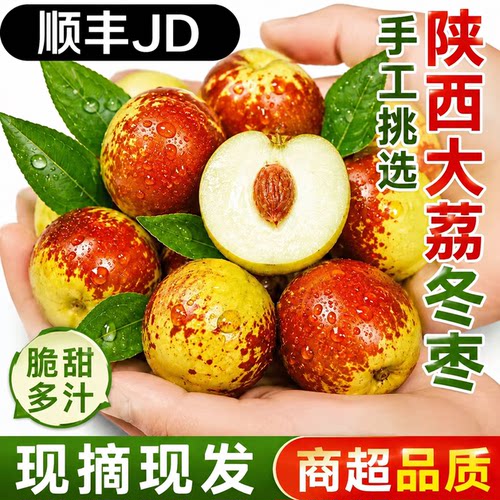 【顺丰/JD】正宗陕西大荔冬枣新鲜水果现摘脆甜产地直发应季枣