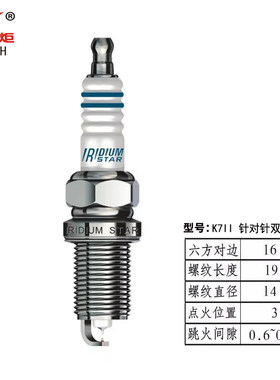 适用长城哈弗H6H5H2炫丽M4C20RC30M2旗胜F1双铱金火花塞K7II