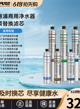 爱惠浦商用净水器原装替换滤芯MC2/BH2/4FCS/4FCLS/4FT/7FC/i2000