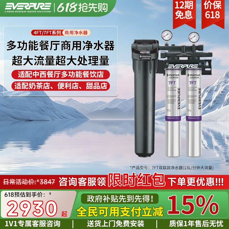 爱惠浦商用净水器7FT双联多功能餐厅中西餐厅甜品便利店过滤设备