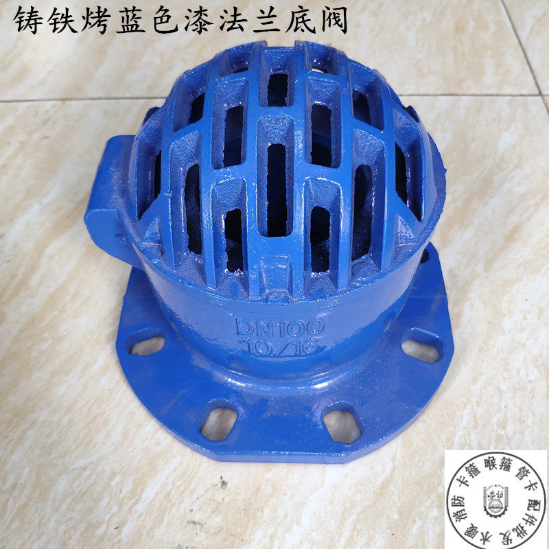 H42X10-16蓝色铸铁烤漆法兰底阀 止回阀单向阀 抽水泵吸水底阀100