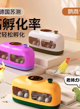 鹦鹉蛋孵化器鸟蛋孵蛋器小型家用受精蛋专用孵化箱玄凤金刚鹦鹉