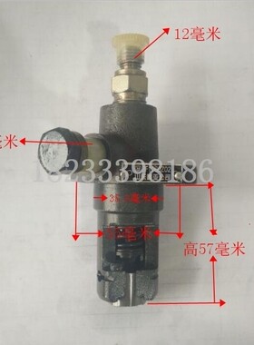 水冷柴油机配件 汽改柴柱塞泵 高压 喷油泵 R165 170 168 34马力