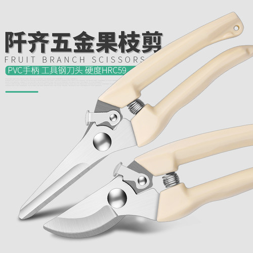 不锈钢园林剪刀粗枝剪果树剪树枝剪修枝修花园艺小剪刀多功能省力