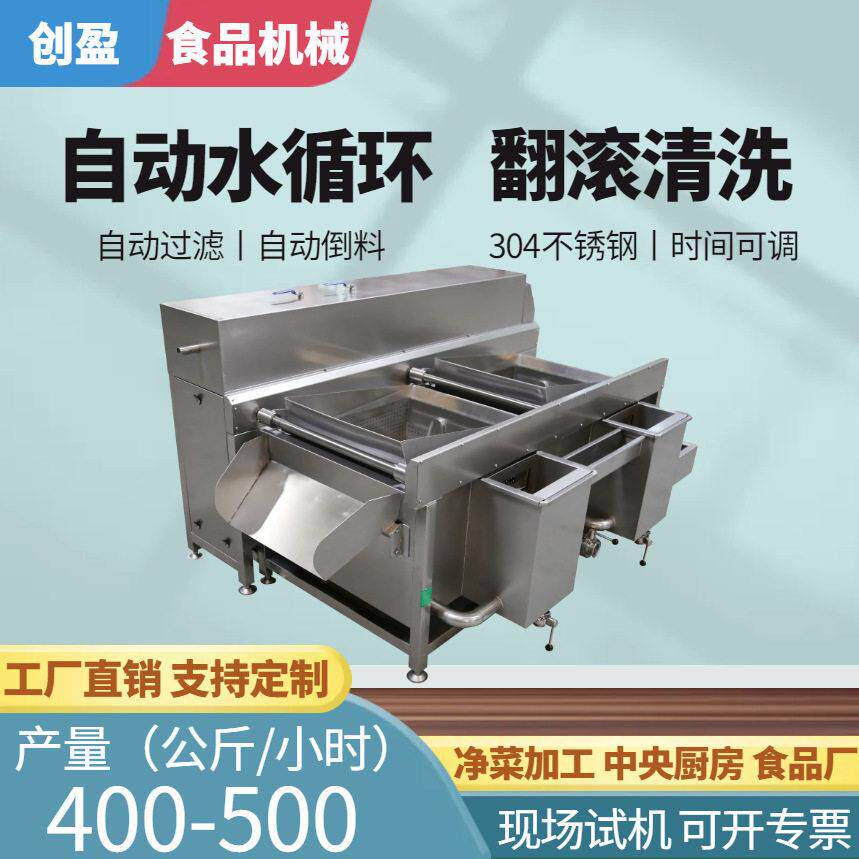 全自动蔬菜水果清洗机萝卜排骨土豆翻槽翻斗洗菜机自动过滤水循环