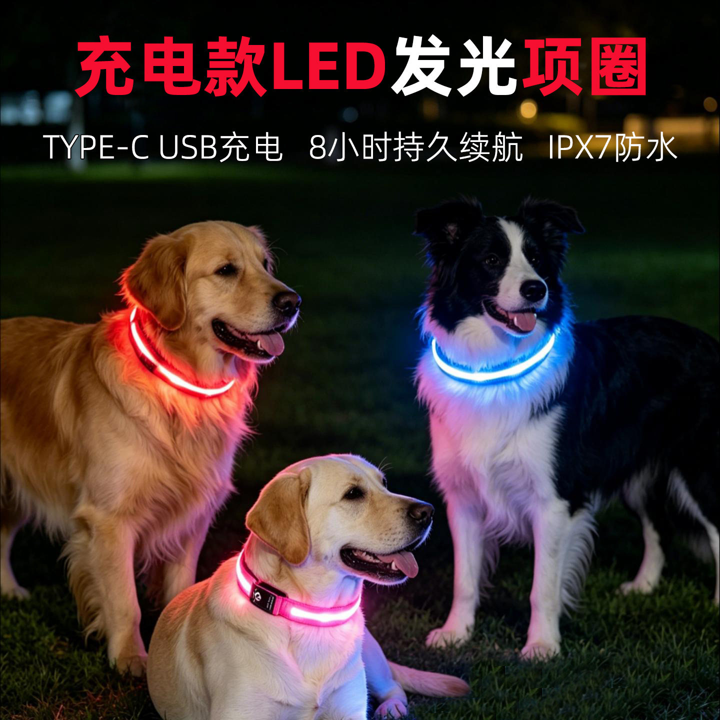 狗狗发光项圈夜光遛狗神器USB充电款长续航夜间可牵引防水犬项圈
