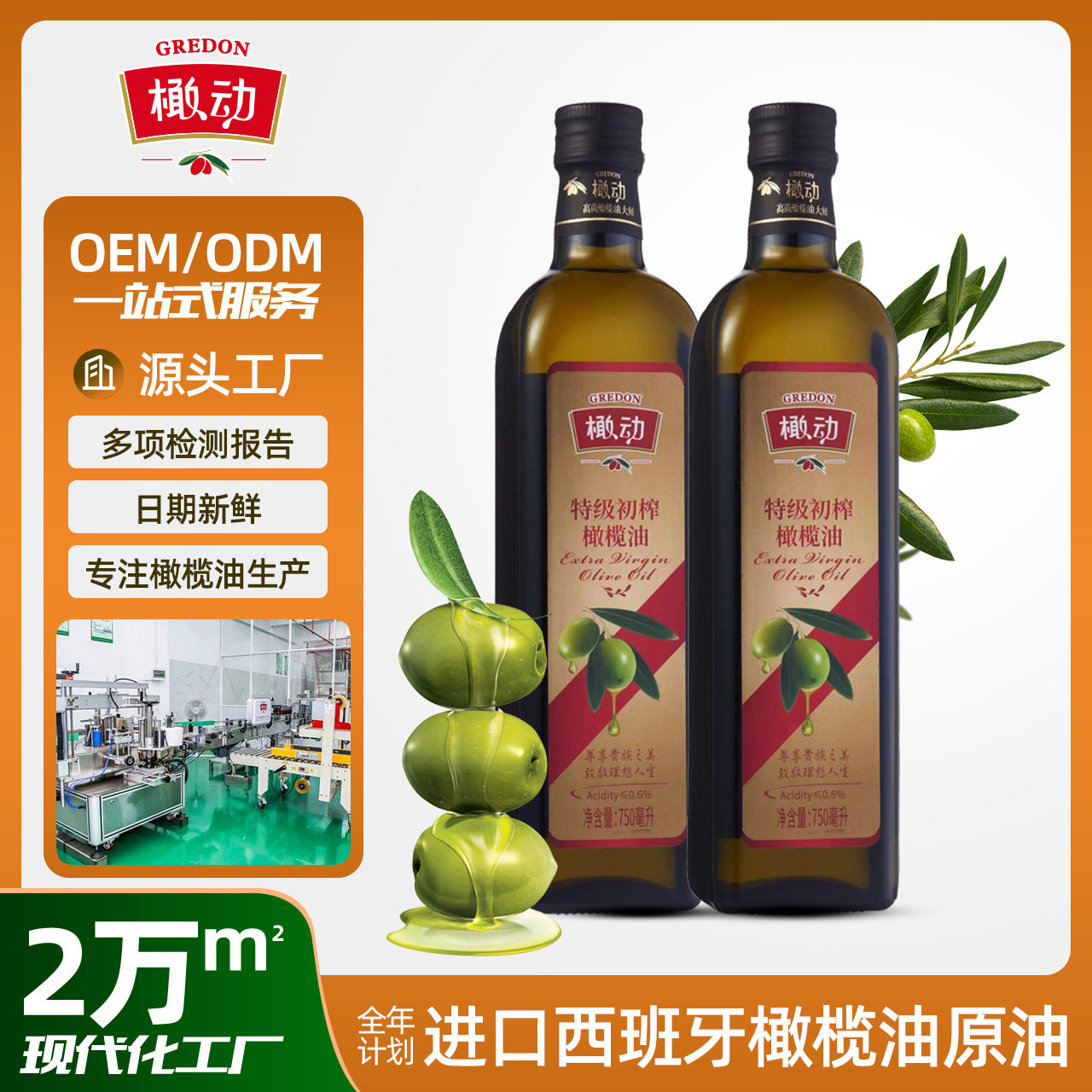 橄动特级初榨橄榄油750ml