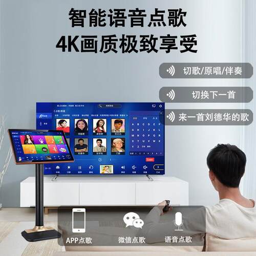 CS450QIASEHNG家庭箱KTV音响套装卡拉OK家用K歌功放音影院点歌机