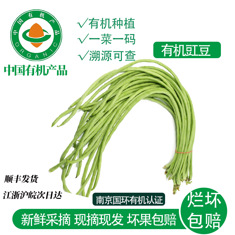 有机豇豆长豆角新鲜农家当季时令蔬菜现摘现发农场直供脆嫩豆角