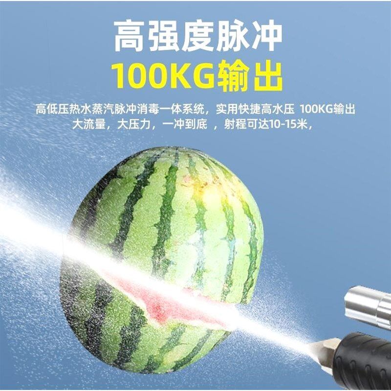 德国进口净之诺家电清洗设备油烟机空调多功能一体高温高压蒸汽地