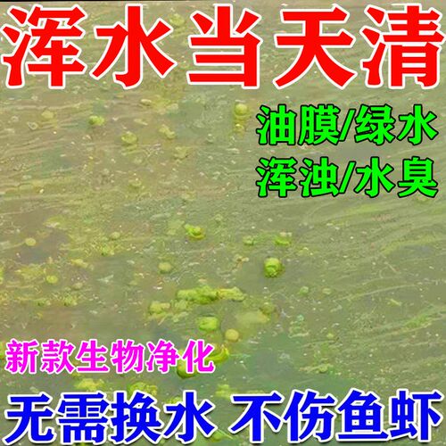 鱼塘水质净化剂除油膜去除铁锈水改底解毒除臭鱼池塘消毒杀菌药