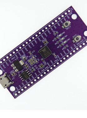 W806 IOT MCU芯片低功耗单片机STM32 CDK开发环境 开发板