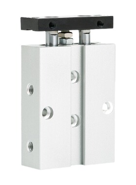 气动治具TN双杆气缸双轴小型大推力TDA25X10X20X32X40X50X60X70-S