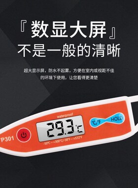 快速工业温度计探针食品中心测温仪高精度水温油温厨房烘焙用油炸