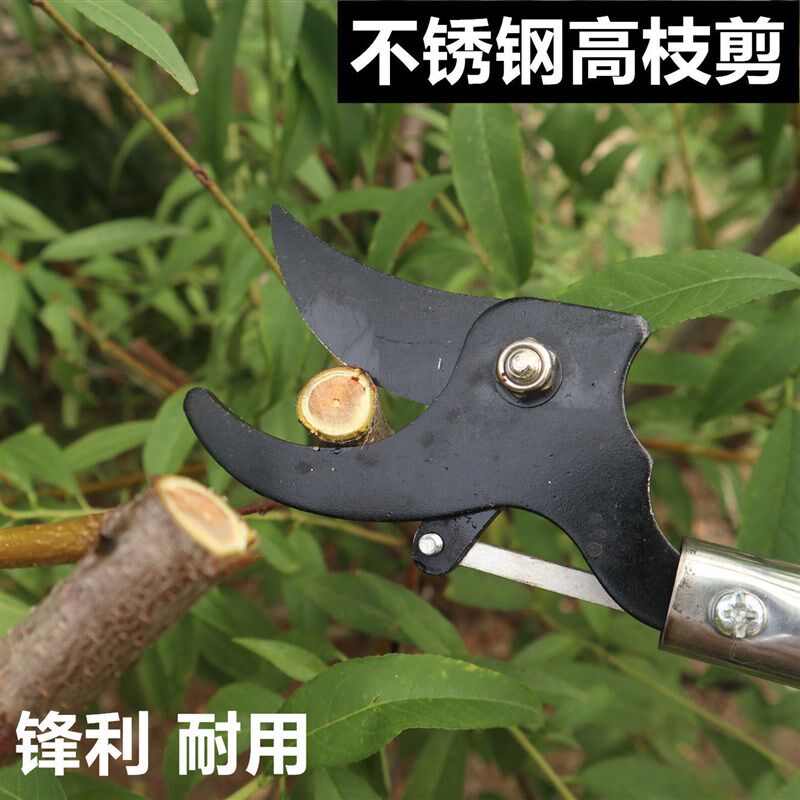 德国进口高枝剪修枝剪不锈钢剪刀修剪园林疏花稀果剪枝高空剪槐花