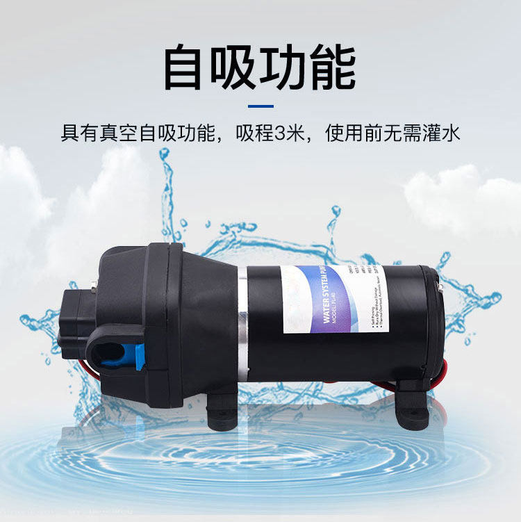 FL系列电动隔膜泵12V24V直流自吸水泵抽洗衣液洗洁精灌装机增压泵