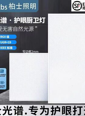 窄边框卫生间集成吊顶灯300x600扣板灯led平板灯30x60厨房吸顶灯