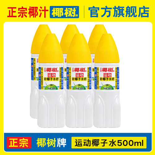 海南椰树牌电解质椰子水15瓶