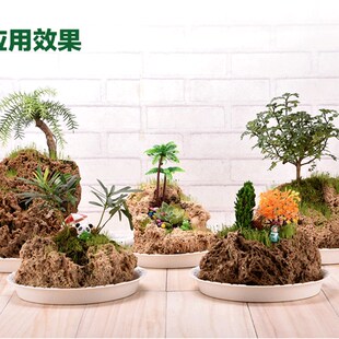 创意吸水石小盆景石头花盆透气菖蒲石斛文竹卷柏蕨类奇石附石植物
