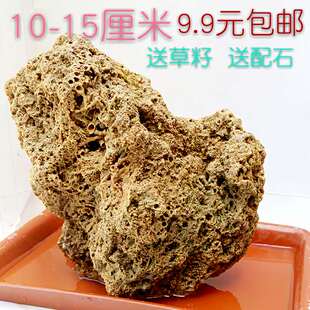 上水石吸水石原石假山盆景鱼缸景观奇石毛石钟乳千层石绿植风水秀