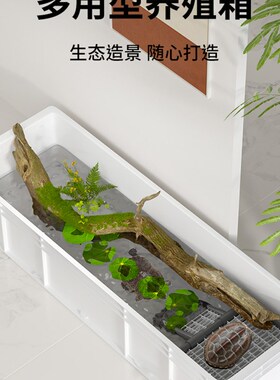 龟缸大乌龟饲养缸专用缸养龟周转箱大型龟箱鱼龟缸混养龟池排水