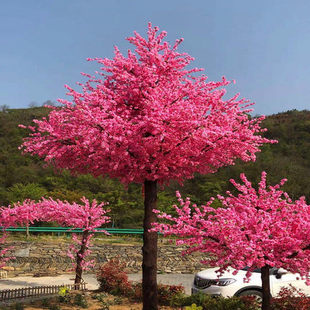 仿真桃花树假桃树大型植物樱花树仿真梅花树 许愿树落地摆件装饰