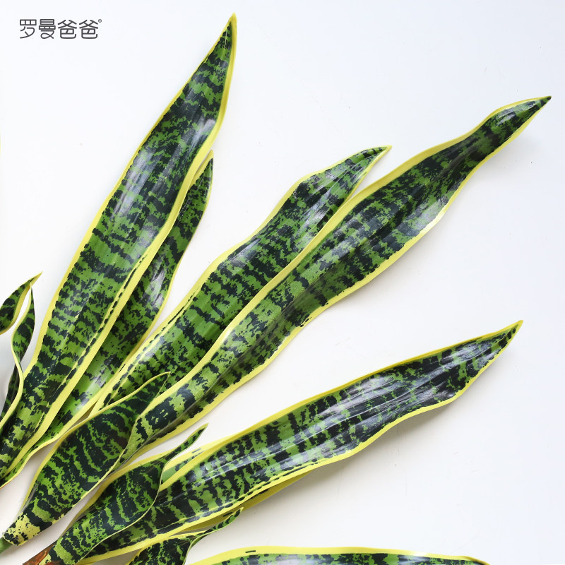 罗曼爸爸仿真植物造景金边虎皮兰单支假绿植造景配材室内花艺装饰