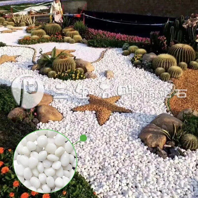 天津白色鹅卵石汉白玉石抛光雨花石鱼缸花坛装饰造景石白石头造景