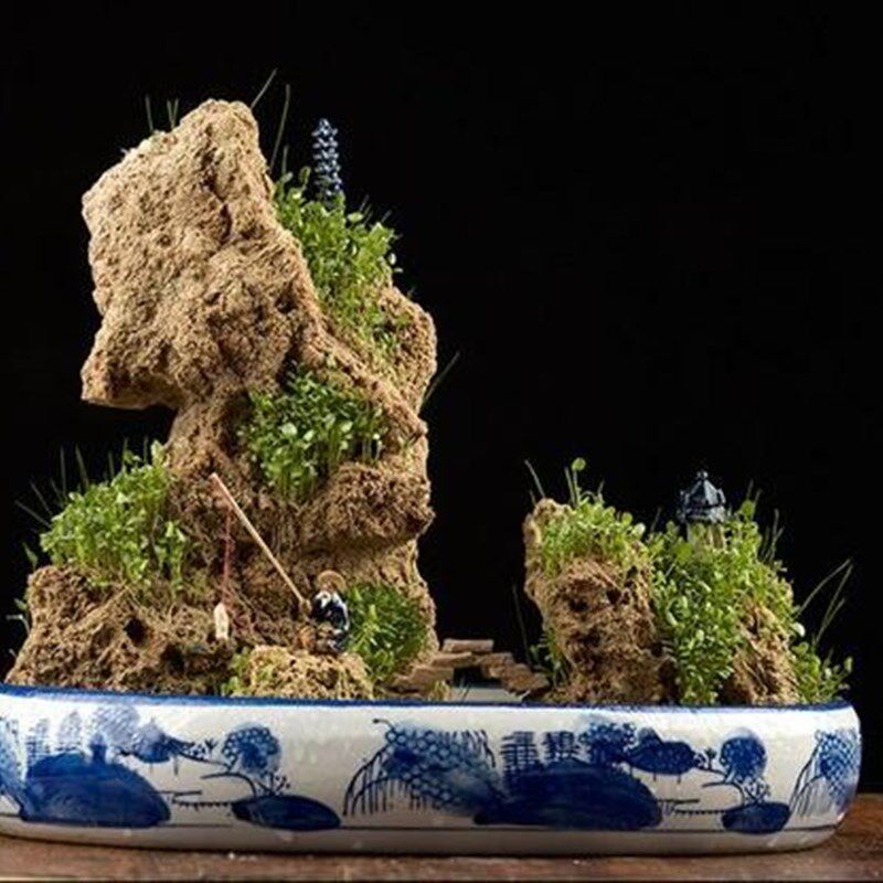 天然吸水石原石毛料假山盆景造景石配石菖蒲石斛附石抱石景观石头