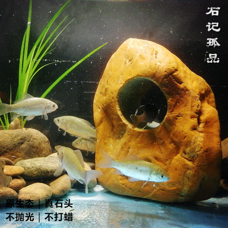 原生态慈鲷鱼躲避屋 热带淡水小鱼产卵藏身洞 天然真石头造景虾窝