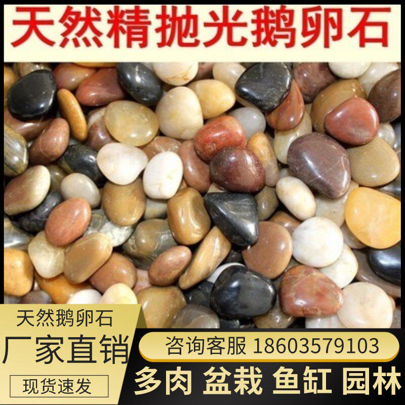 广东鹅卵石雨花石原石鱼缸造景花盆栽天然石子庭院鹅软石彩色石头