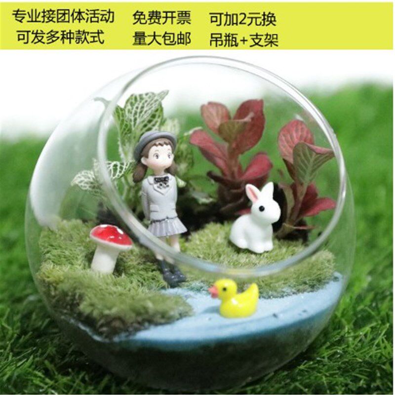微观苔藓多肉迷你植物玻璃微景观盆栽绿植盆景生态瓶diy材料包