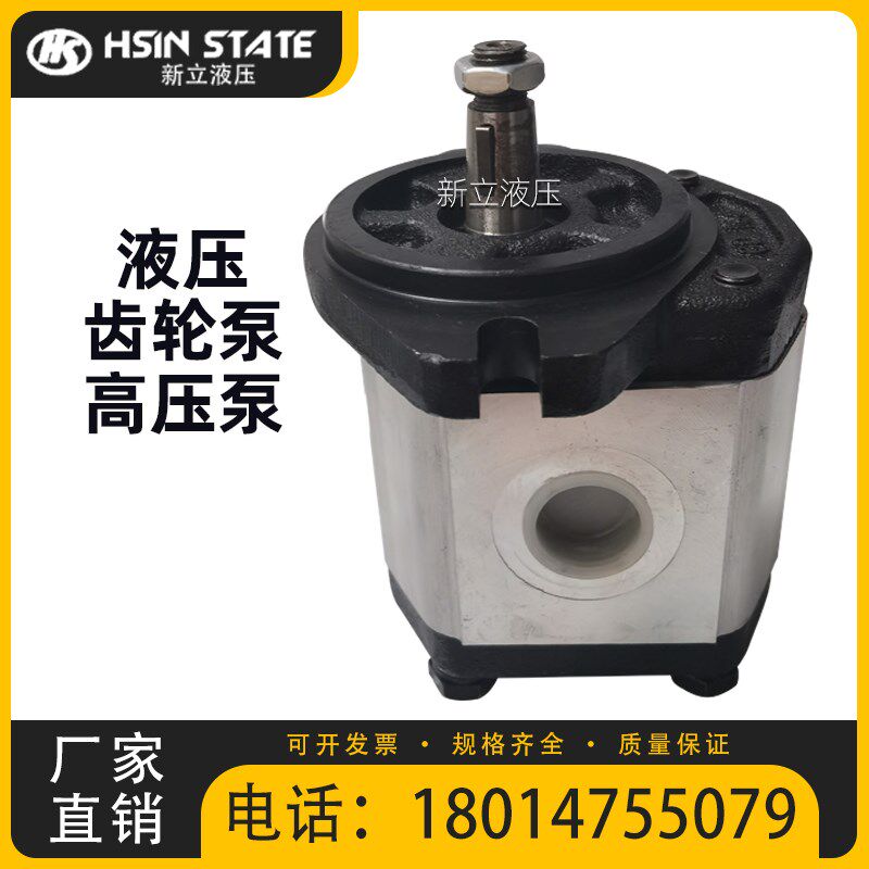 环卫扫雪车齿轮泵WHP2B0D14T0L1 压缩箱油泵2A0A14D-V-LW 压力泵