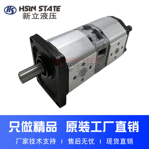 双联齿轮泵BHP2/2B1D6/D8/D10/D12/D14/16/18/D20/25/28C2E3/E3-E