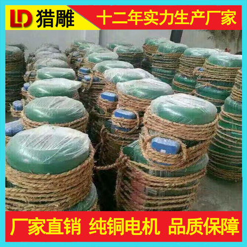 猎雕CD1型钢丝绳电动葫芦220V1吨2T3T5T10T升降提升机起重电葫芦
