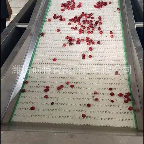 大型樱桃分选机重量分选机直径分拣机水果选果机等级分级机厂家