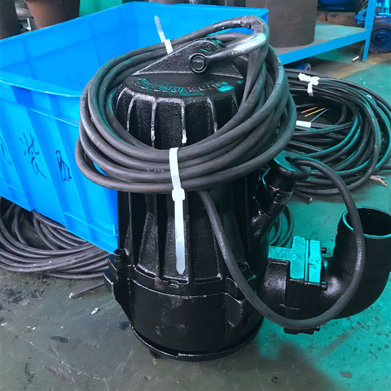 南京蓝深潜水排污泵WQ10-15-1.5KW 移动自耦式安装 生活污水泵