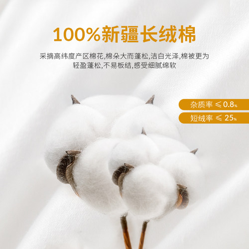 带枕套】双人长枕头情侣长条一体1.5护颈椎助睡眠儿童低枕薄枕芯