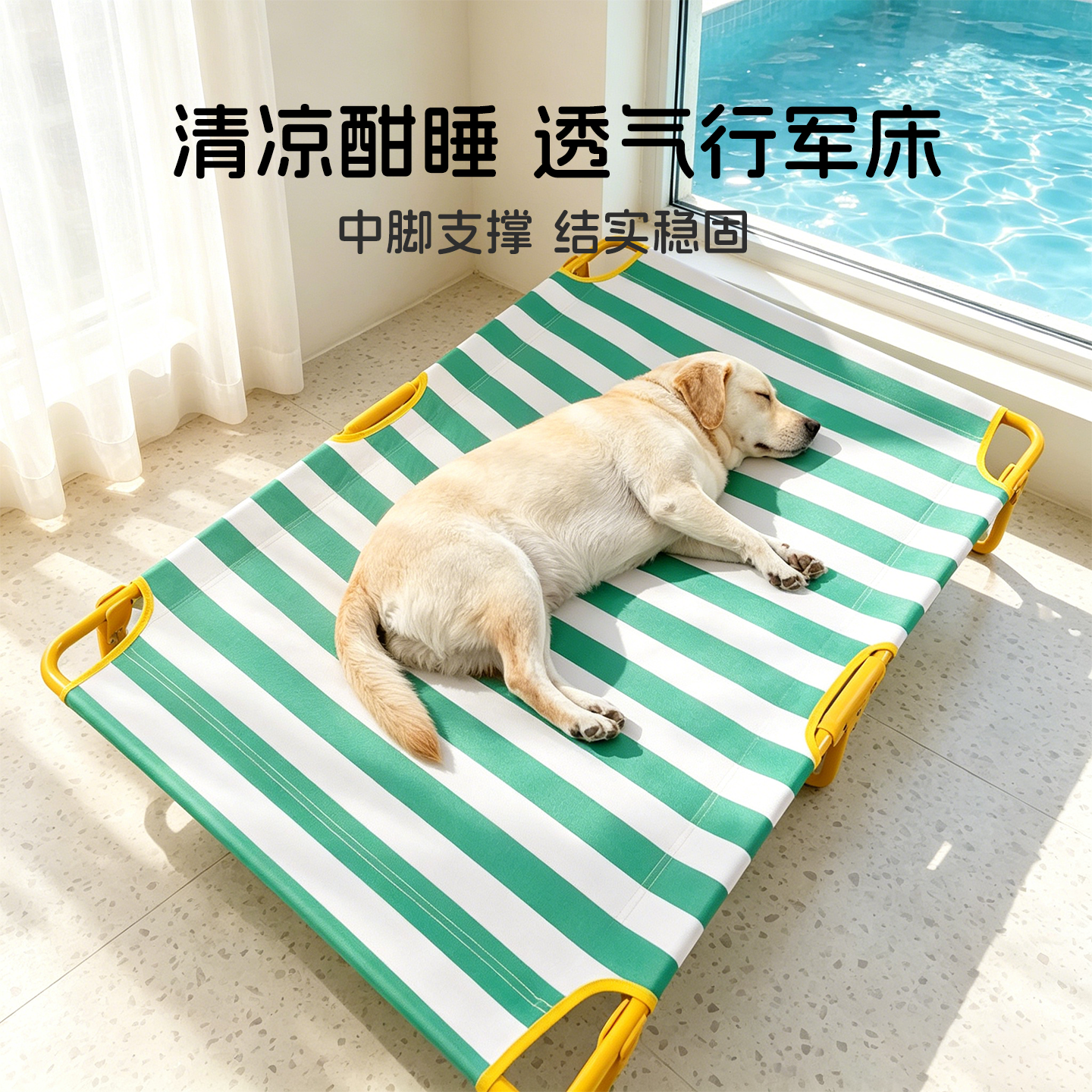 狗狗行军床新式狗窝四季通用可折叠离地防潮中大型犬夏天宠物睡床