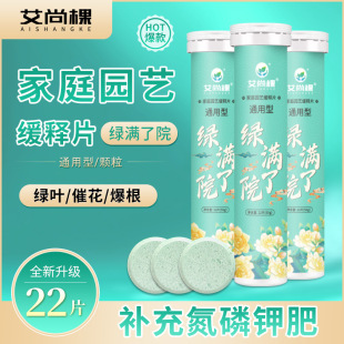 园艺绿满营养片含氮磷钾的复合肥花肥料绿植花卉植物专用缓释长效