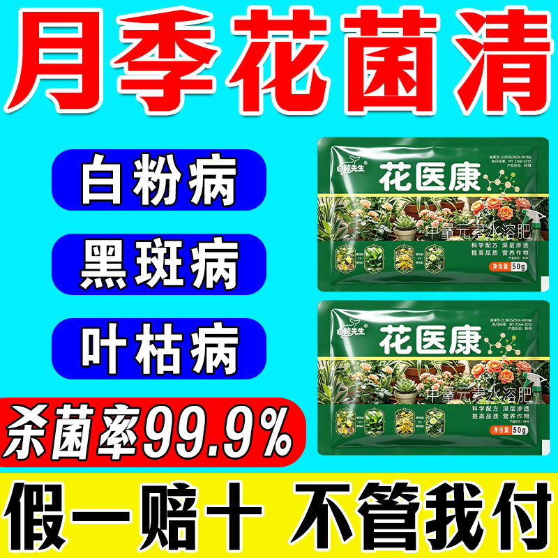 月季花专用肥病菌清黄叶黑斑图片