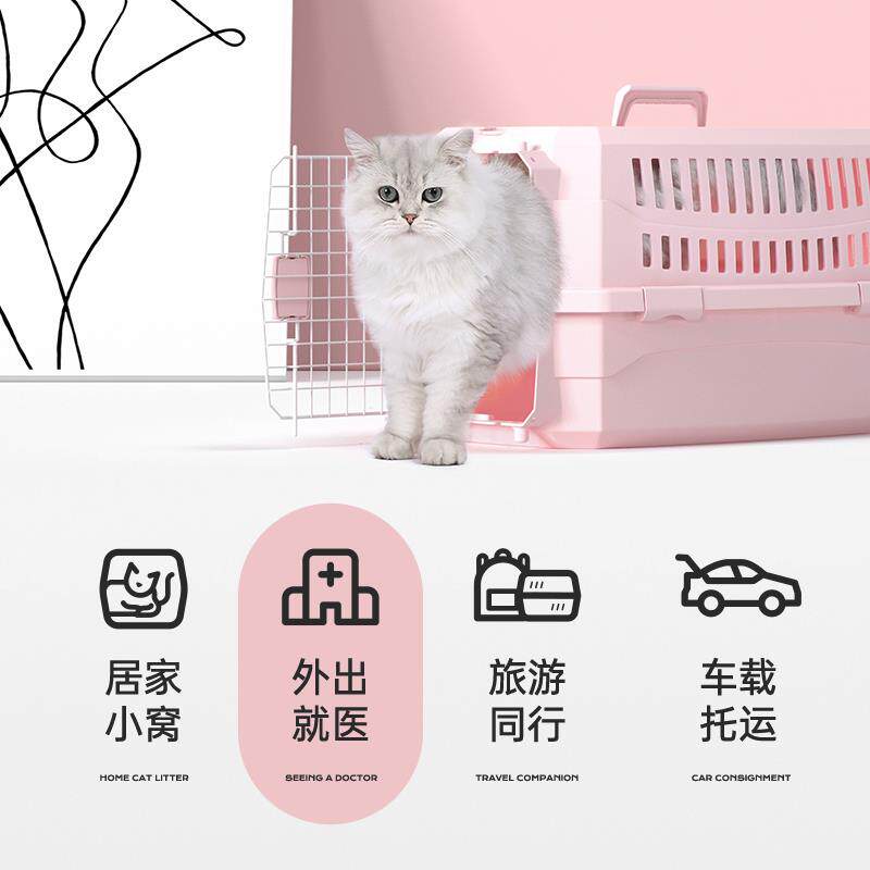 中恒猫咪航空箱外出猫包便携太空舱狗狗猫箱手提猫笼子宠物