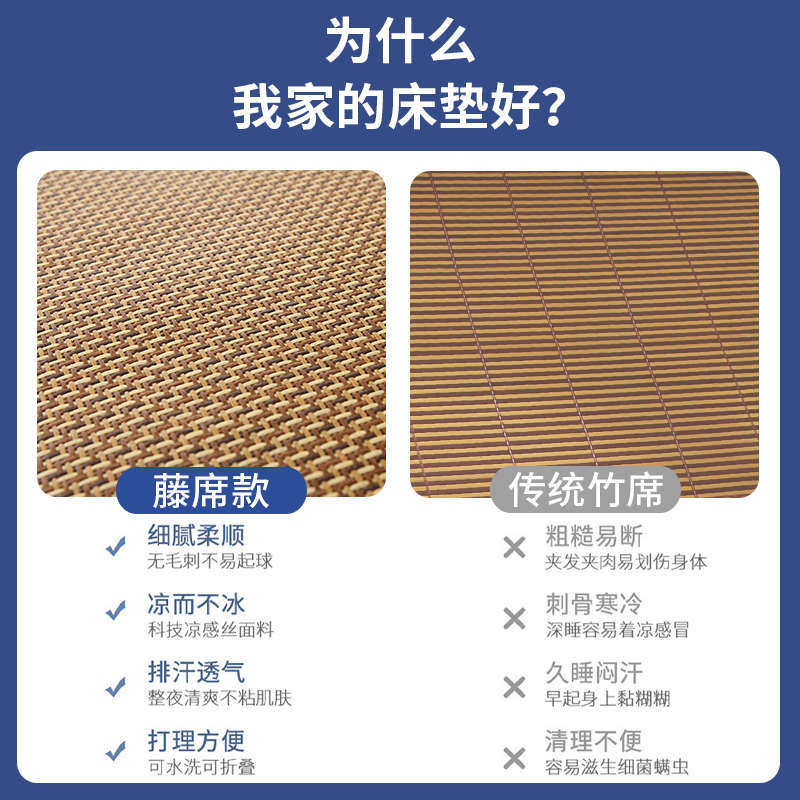 床垫凉席学生宿舍单人加厚海绵垫褥子90x190冬夏席子垫被两用专用