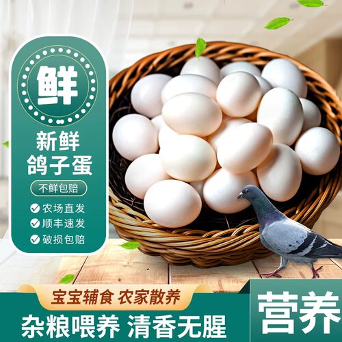 顺丰包邮) 新鲜鸽子蛋农家白鸽蛋杂粮喂养孕妇宝宝辅食老人食谱