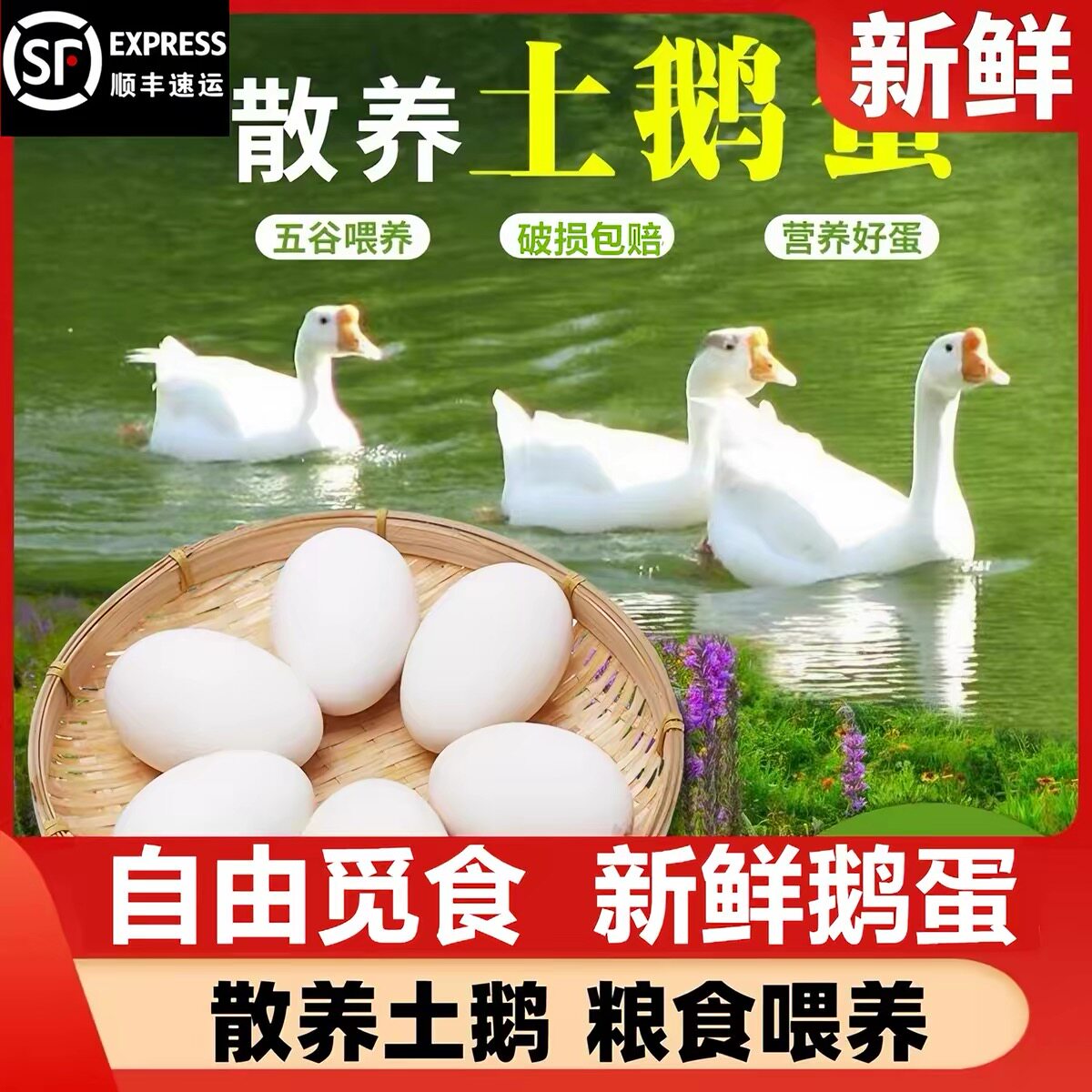 【顺丰到家】新鲜鹅蛋正宗农家散养土鹅蛋孕妇宝宝批发一整箱鹅蛋